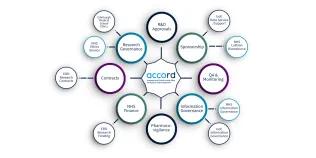 ACCORD structure